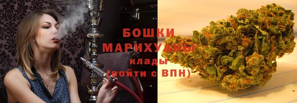 ешки Вяземский